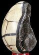 Septarian Dragon Egg Geode - Black Crystals #54575-1